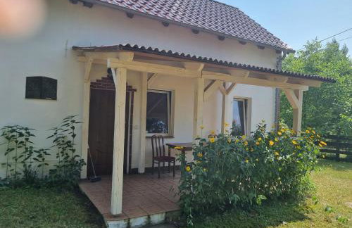 Dom wakacyjny nad jeziorem w Jodłowie II - Foto 2