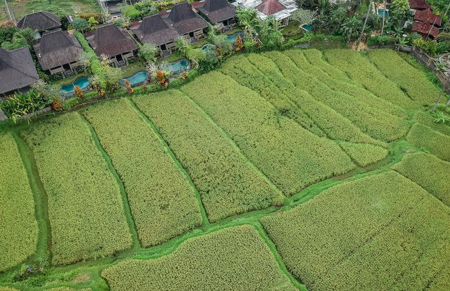 Wooden Ganeca Villas by GenuineHost - Foto 38