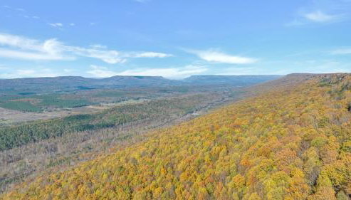 The Lodge in Mentone - Foto 5