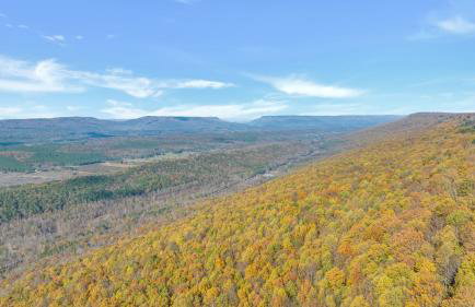 The Lodge in Mentone - Foto 5