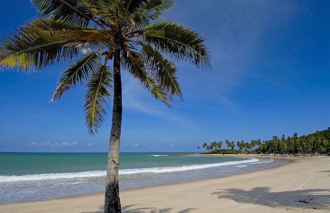 Chocolate com Pimenta Edifício - Foto 61