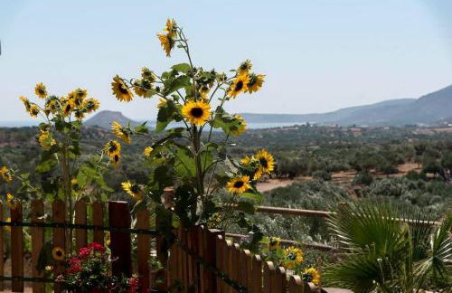 Pelegrines V. - Photo 10