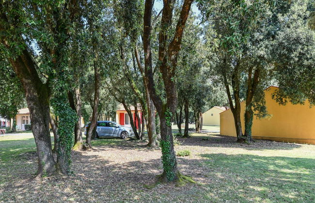 Gite in a Holiday Park With Pool - Foto 42