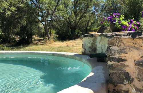 Las Casas del Palomar I & II - Photo 53