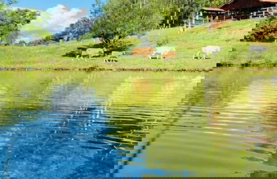 Audaz Hotel Boutique - Photo 9