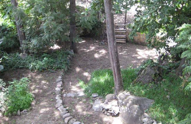 Tzikin Jaay - Foto 13