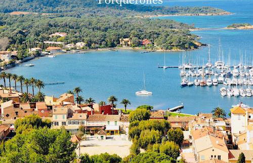 Les flamants Roses la Capte Clim 4pers 100m plage - Foto 30