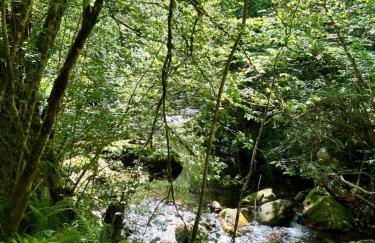 La casita de Olivia Espinaredo - Foto 63