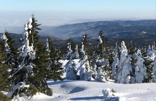 Ferienhaus Kirchturmblick bei Quedlinburg - Foto 7