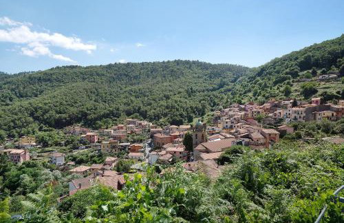 Acciuga House - Photo 26