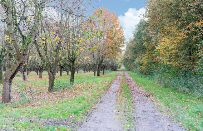 Captivating Holiday Home in Zeewolde near Forest - Foto 38