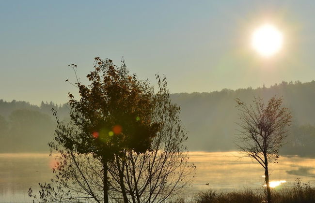 Doppelhaushalfte in Hasselfelde - Foto 20