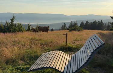 Große gemütliche Ferienwohnung in Schwarzwaldhof - Foto 20