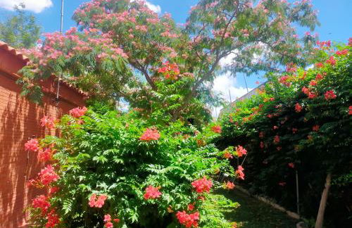 Precioso chalet próximo a Sevilla con jardín y piscina privada 8 personas Wifi gratis 2 salones 4 dormitorios 2 baños - Foto 41