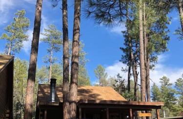 Forest Cabin 1 Hunters Blind - Photo 11