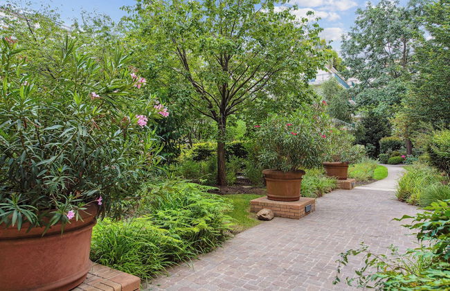 APPARTEMENT VUE TOUR EIFFEL - Foto 14