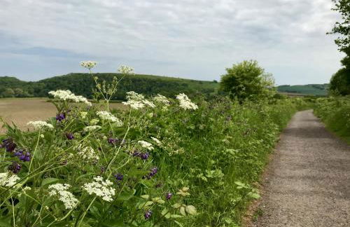 Tudor Rose Cottage - Foto 46