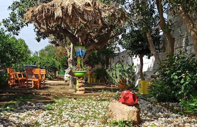 Zagara di Sicilia - Foto 66