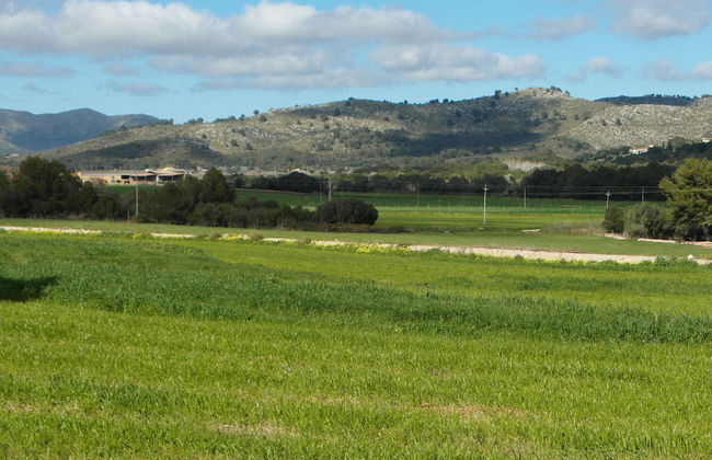 Apartamentos Sureda - Foto 61