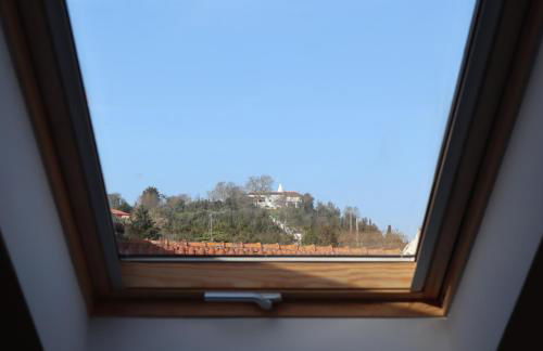 Casa Flor do Camarão - Centro Histórico de Tomar - Foto 27