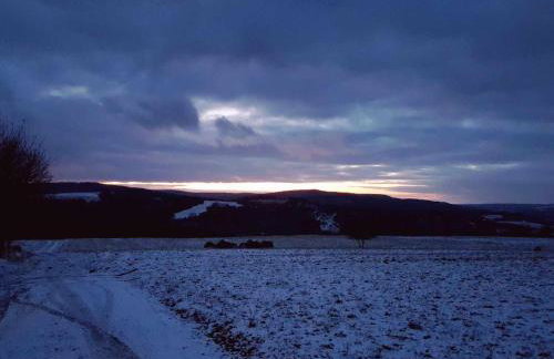 Jabłoniowy Sad Kalwaria Pacławska - Foto 49