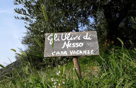 Gli Ulivi di Nesso - Foto 10