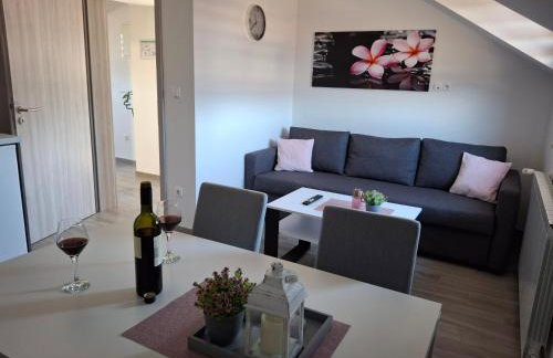 Apartman OBLAK Ravna gora - Foto 1