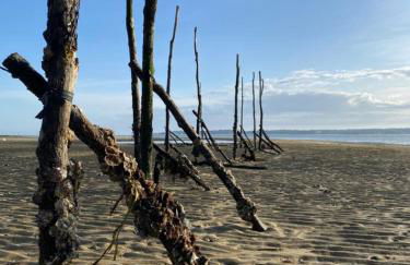 Appartement cosy village de L'Herbe - Foto 23