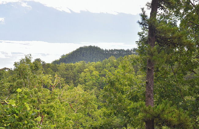 Bair Necessities relaxing Cabin - Foto 39