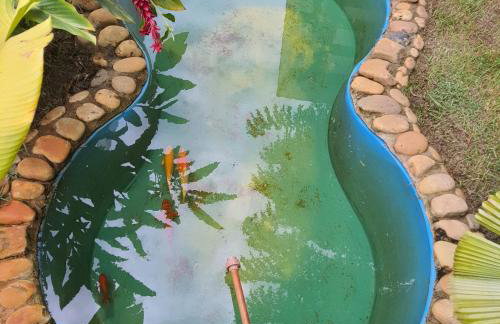 Dalas Village - Foto 6