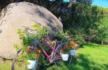 El encinar de Gabino - Foto 72