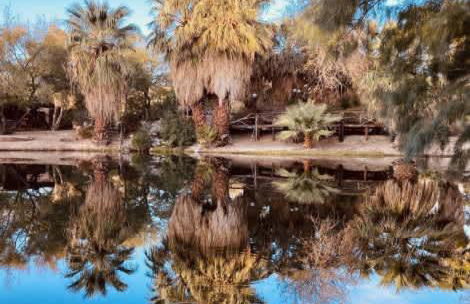 Reserve The Entire Ranch up to 28 guests - Foto 4