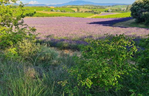 gîte du Domaine Jaume - Foto 30