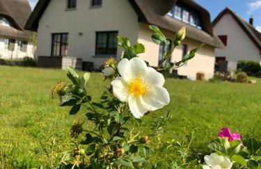 Stilvolles Reetdachhaus Coastline an der Ostsee - Foto 12
