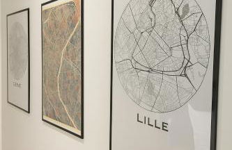 L'Elégance, Suite Premium - Lille Lomme - Netflix - Foto 13