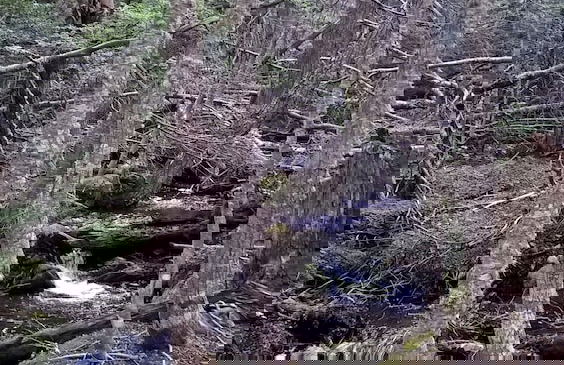 Cabañas Del Martial - Foto 74