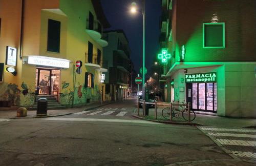 South Milan Family & Business home - Photo 39