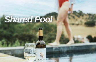 Alojamentos Plansel - No Coração das Vinhas do Alentejo - Foto 46