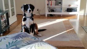 Haus am Hennesee - Foto 2