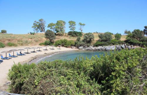 Konstantinos - Photo 20