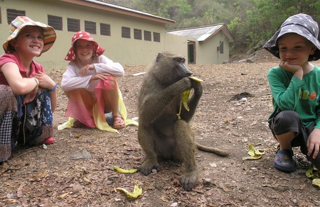 Devon Villas - Photo 17