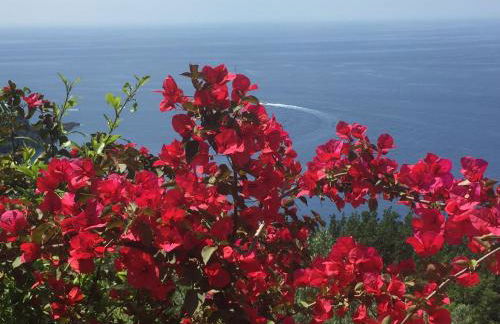 Villa CieloMare - Foto 48