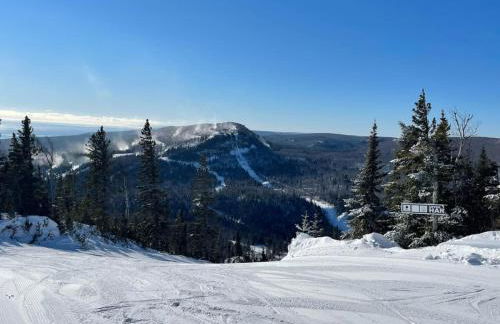 Ski in Ski out Townhome, Indoor and outdoor pools, hot tub, fire pits, and more - Foto 52