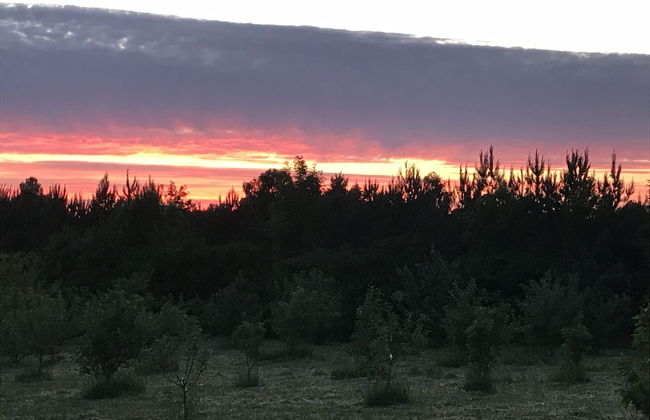 Strandsegård Ferielejligheder - Foto 56