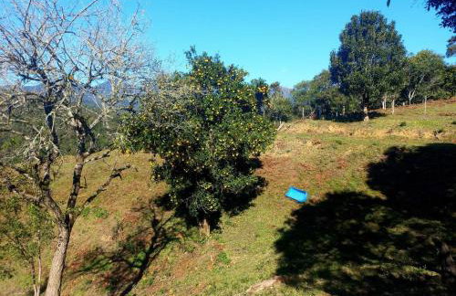 Casa em Chácara Campina Grande do Sul Pico Paraná Toca do Tatu - Foto 19