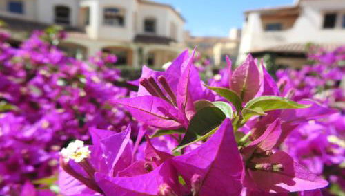 Casa Felice - Foto 4