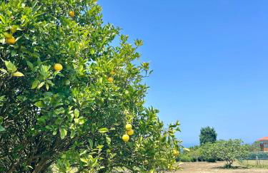 La Ponderosa - Foto 14