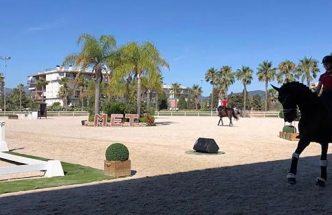 Oliva Nova Equestrian Apartment Next to MET Showground - Photo 27