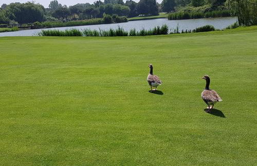 Villa Ante Split-Podstrana - Photo 37