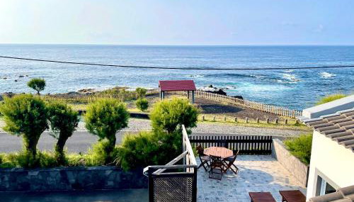 Sea Roots "Sea Zone" - Foto 3